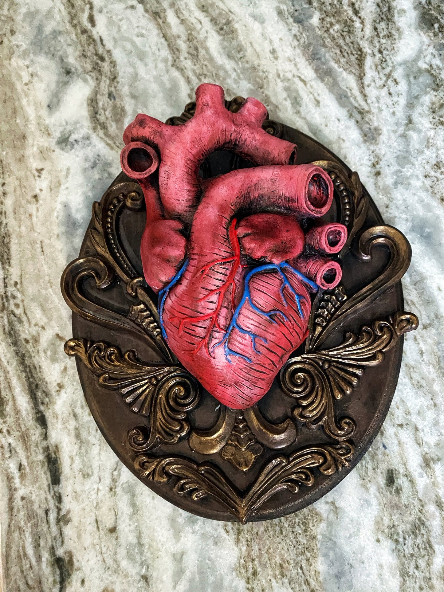 Anatomical Human Heart Wall Plaque