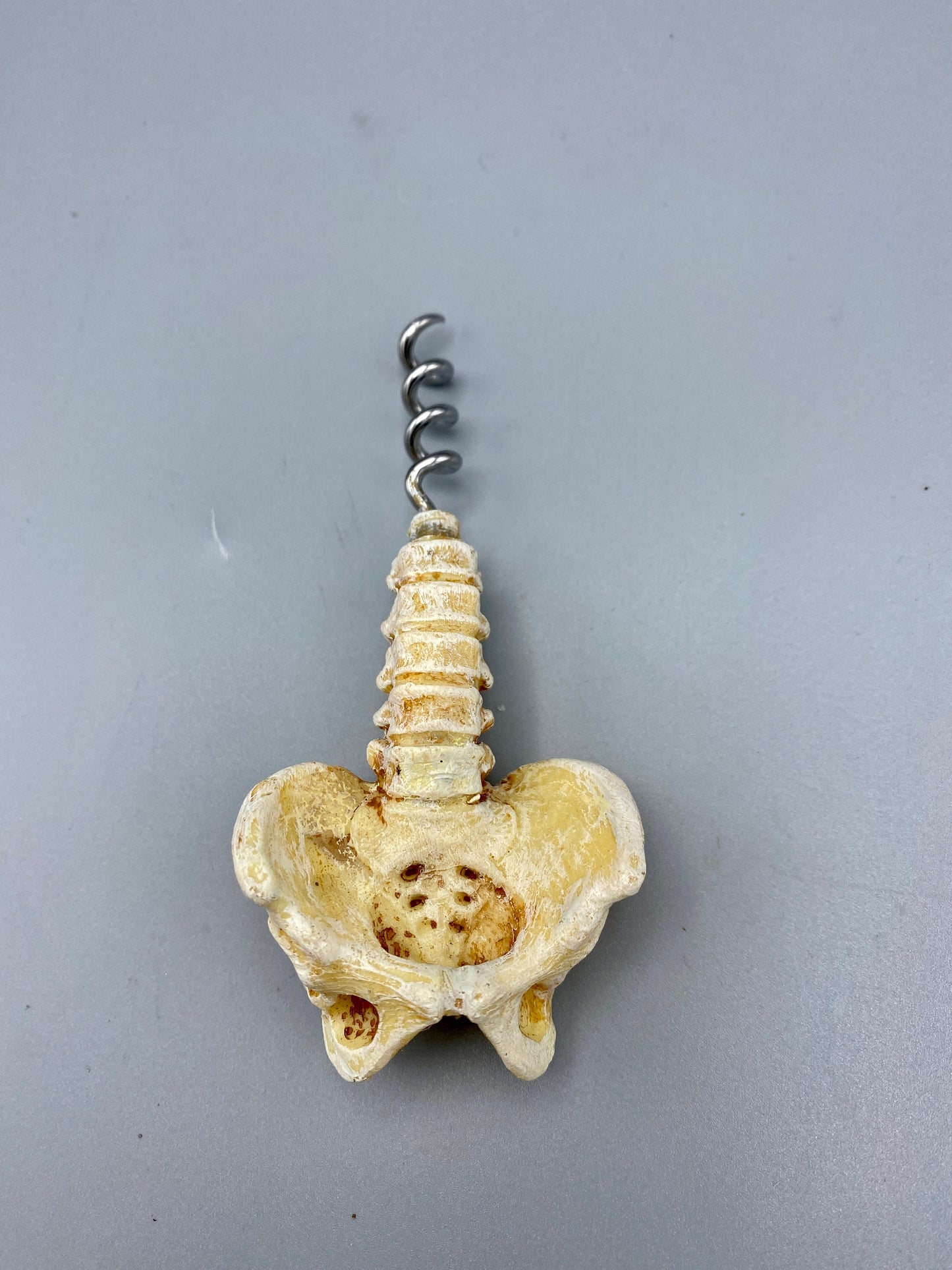 Spine and Pelvis Corkscrew, Hand Painted Resin | Gothic Medical Decor, Anatomy Spinal Cork Screw |Fantasy Gothic Wine and Barware Gift