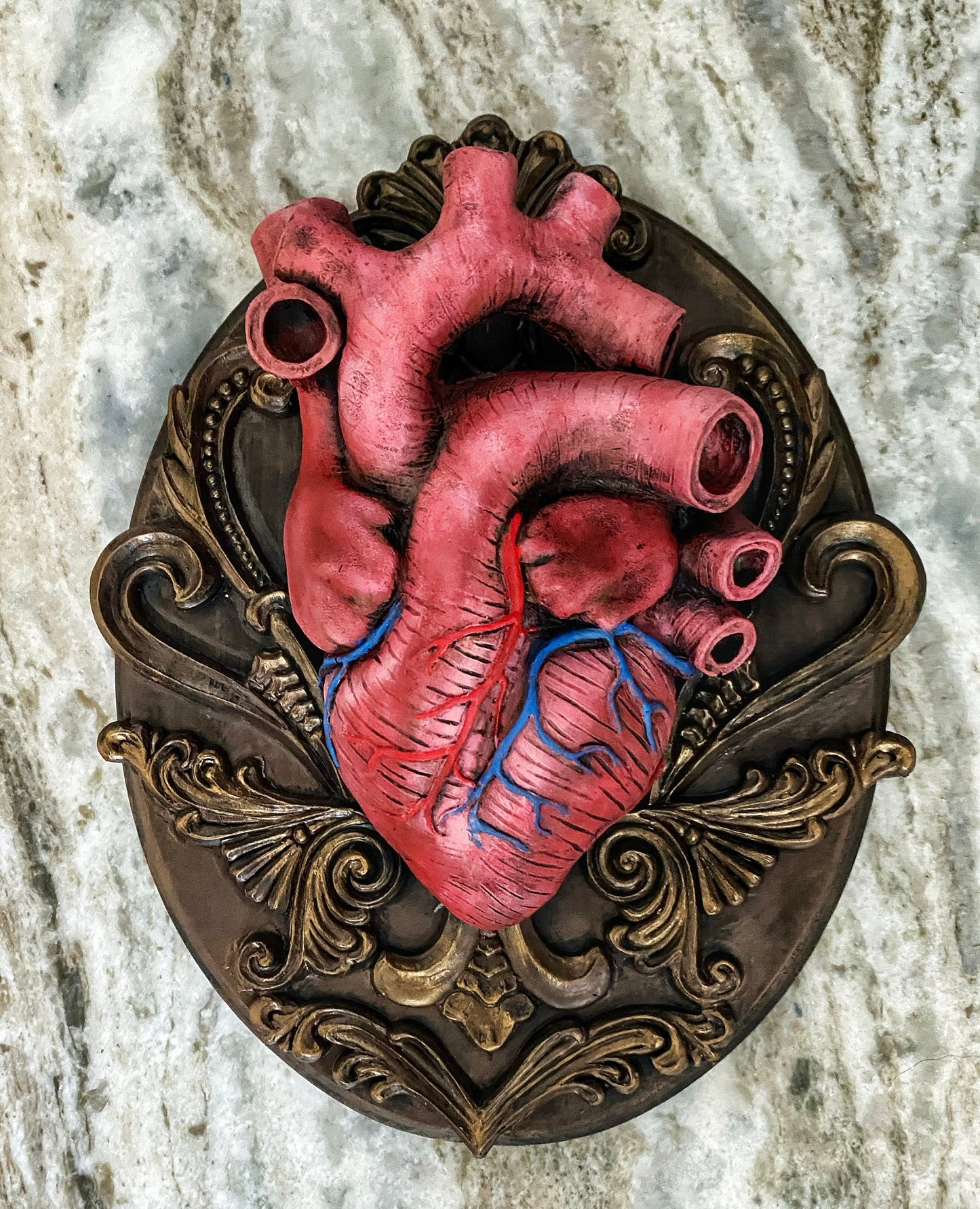 Anatomical Human Heart Wall Plaque