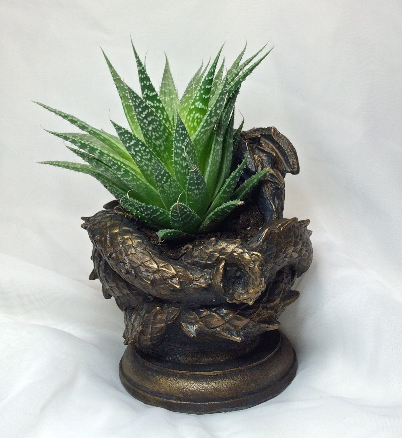 Coiled Dragon Planter, Bronze Finish | Unique Mythic Creature Home Decor | Resin Sculpture Snake Vase, Fantasy Art and Gothic Home Decor