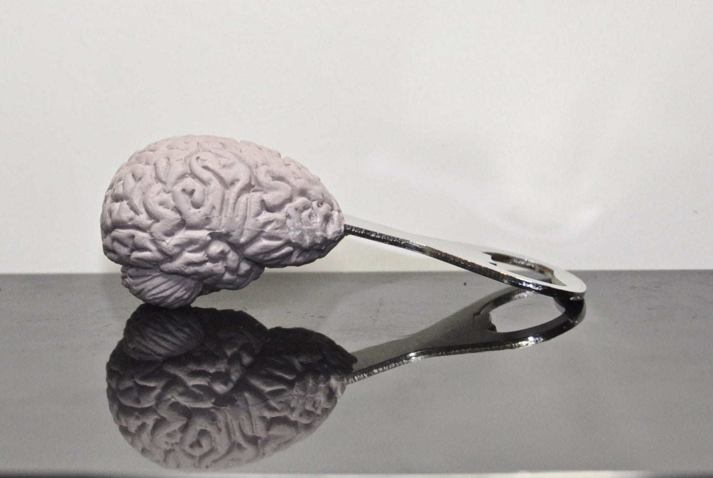 Brain Bottle Opener, Hand Painted Resin | Gothic Medical Decor, Anatomy Brain Bottle Opener |Fantasy Gothic Wine and Barware Gift