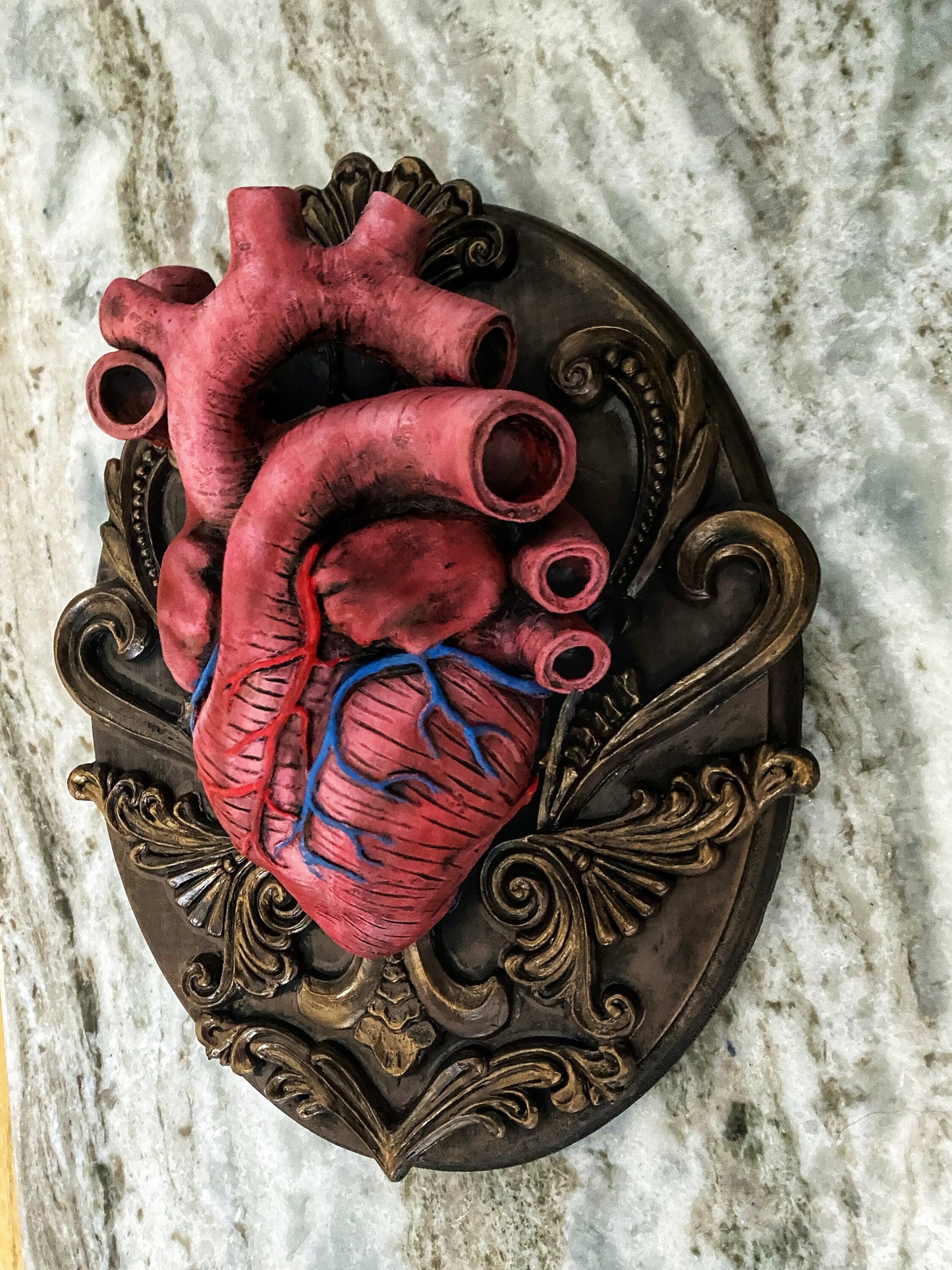 Anatomical Human Heart Wall Plaque