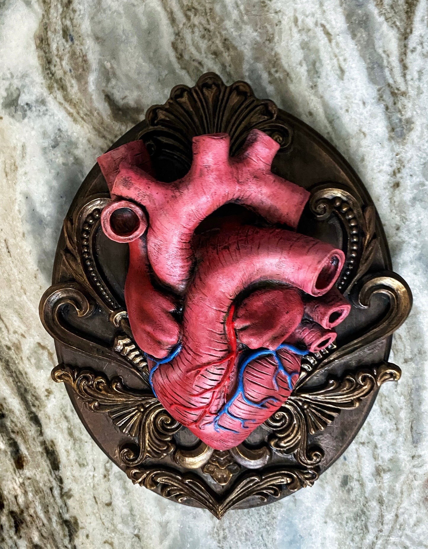 Anatomical Human Heart Wall Plaque