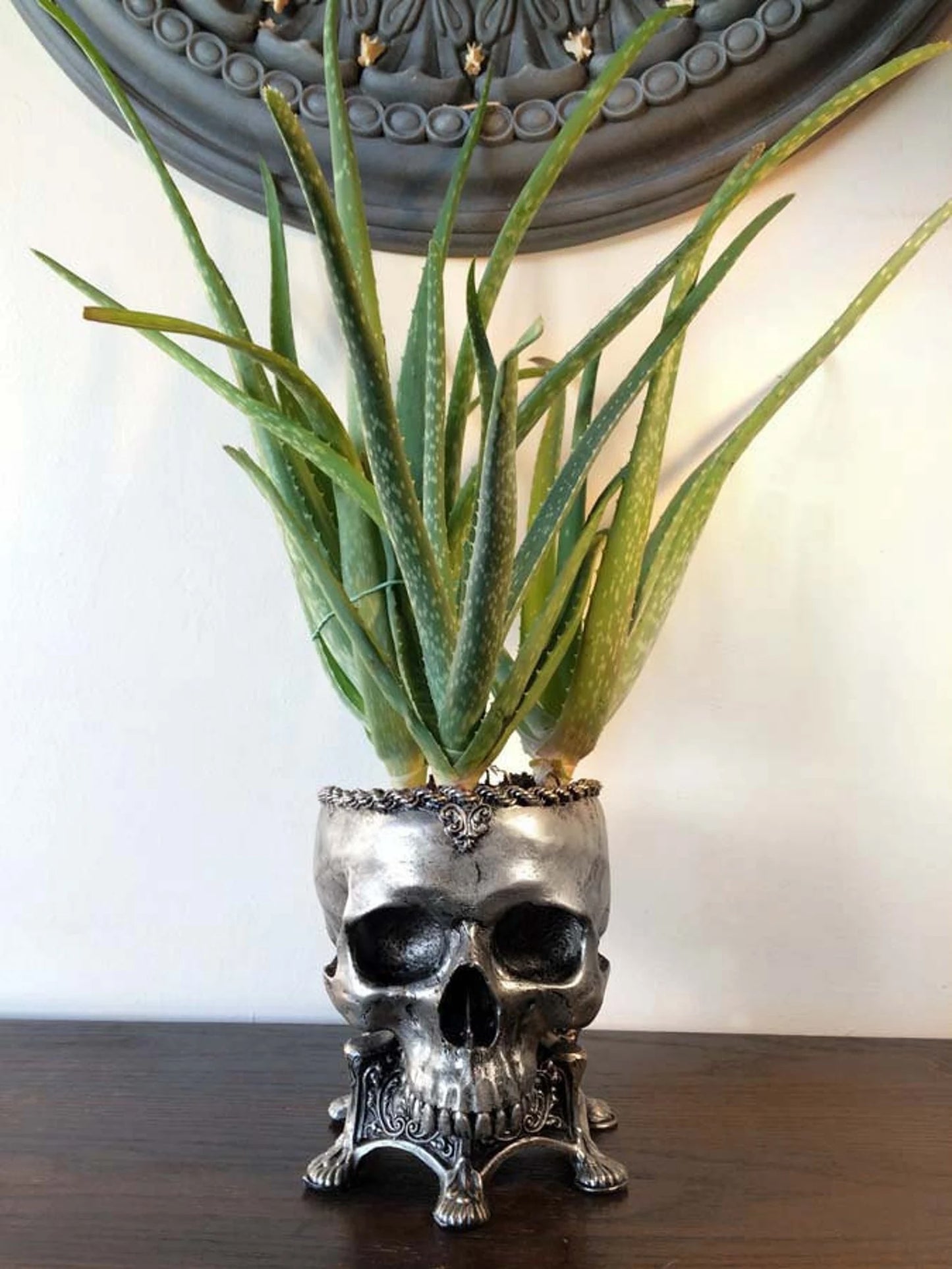 Human Skull Planter, Pewter Finish
