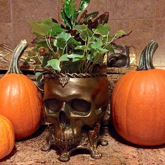 Human Skull Planter Bronze Finish, Hand Painted Resin Sculpture | Unique Gothic Home Decor | Spooky Art Gift and Gothic Home Decor