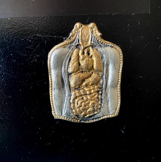 Human Anatomy, Milagro Ex Voto Magnet, Hand Painted Resin Sculpture | Gothic Fantasy Decor | Anatomy Magnet for Fantasy and Gothic Decor
