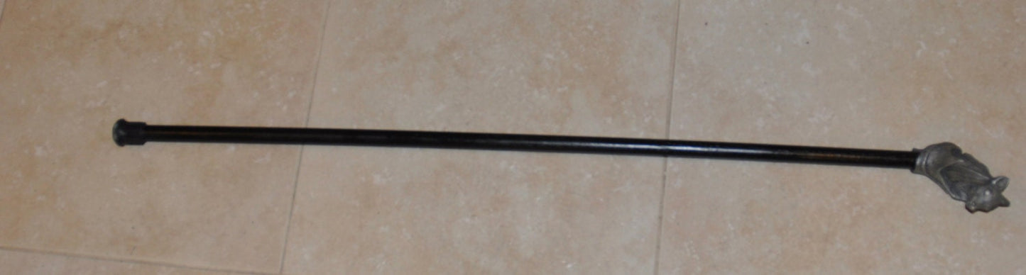Fruit Bat Cane