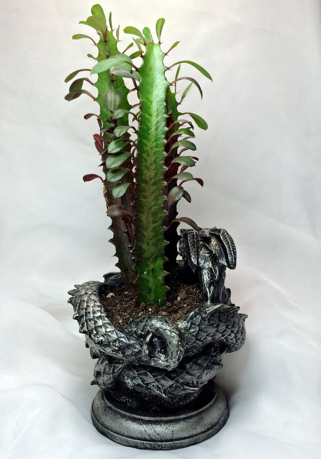 Coiled Dragon Planter, Pewter Finish |  Unique Mythic Creature Home Decor | Resin Sculpture Snake Vase, Fantasy Art and Gothic Home Decor