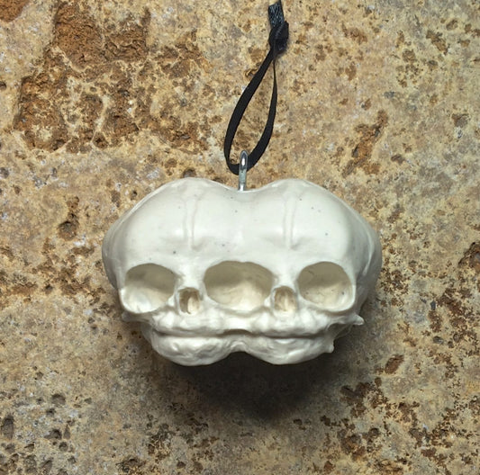 Conjoined Twins Fetal Skull Ornament, Resin Sculpture | Gothic Fantasy Skull Figurine |Conjoined Skull Ornament for Fantasy and Gothic Decor