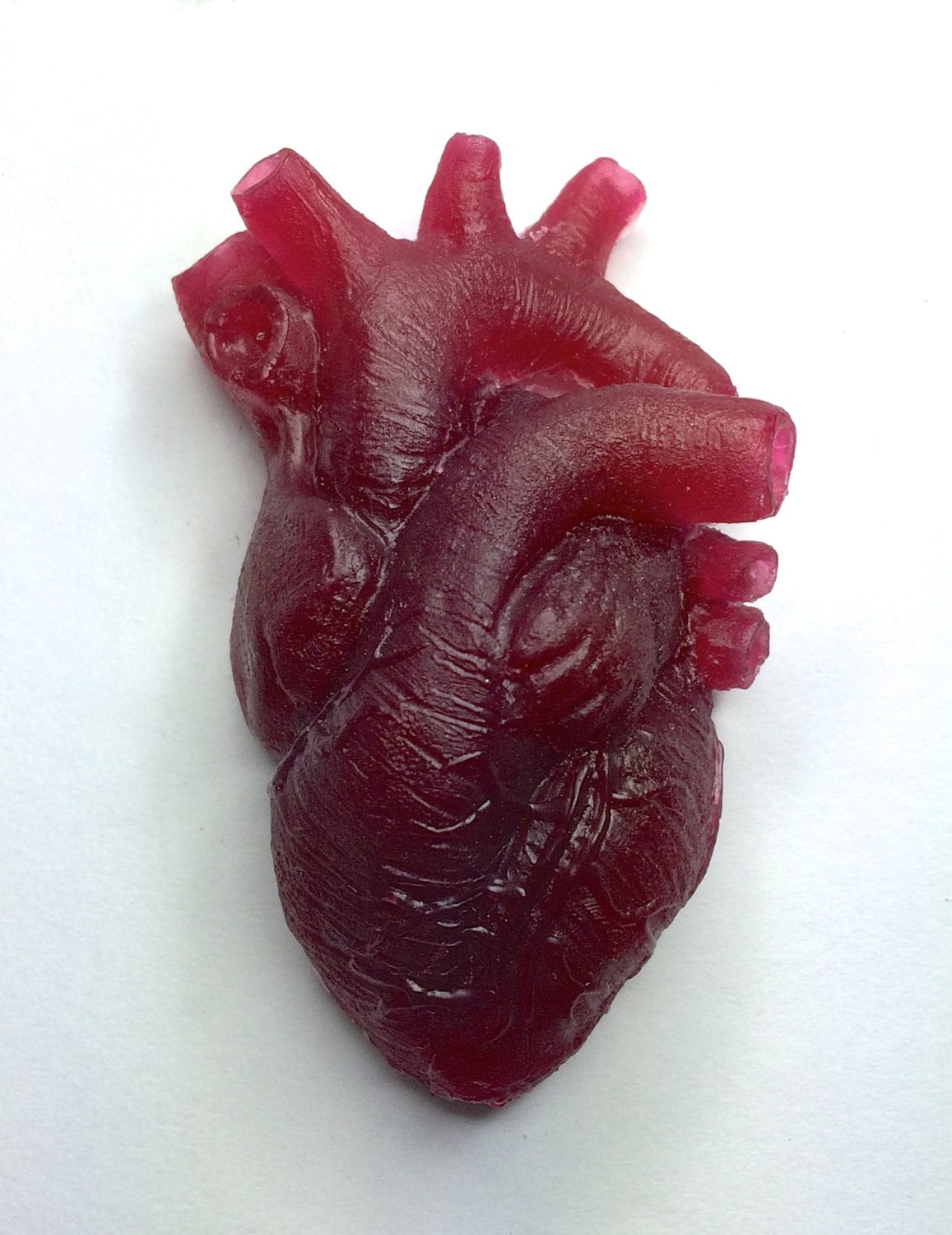 Anatomical Heart Magnet, Translucent Red Resin Sculpture | Gothic Fantasy Decor | Heart Magnet for Fantasy and Gothic Decor