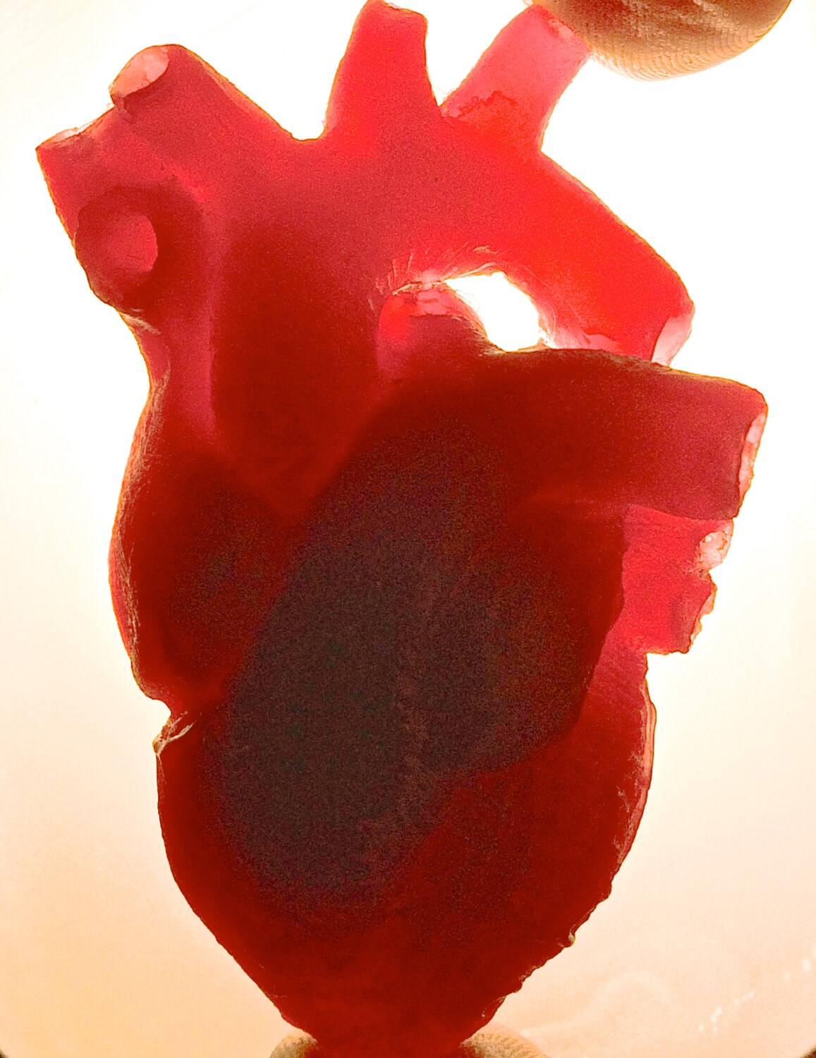 Anatomical Heart Magnet, Translucent Red Resin Sculpture | Gothic Fantasy Decor | Heart Magnet for Fantasy and Gothic Decor