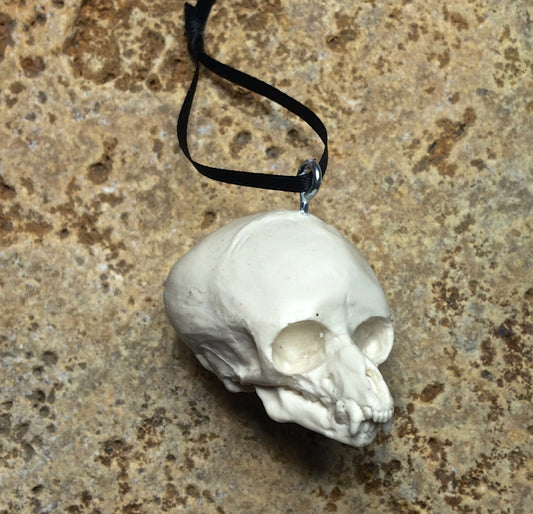 Werewolf Fetal Skull Ornament, Resin Sculpture | Gothic Fantasy Skull Figurine | Werewolf Skull Ornament for Fantasy and Gothic Decor