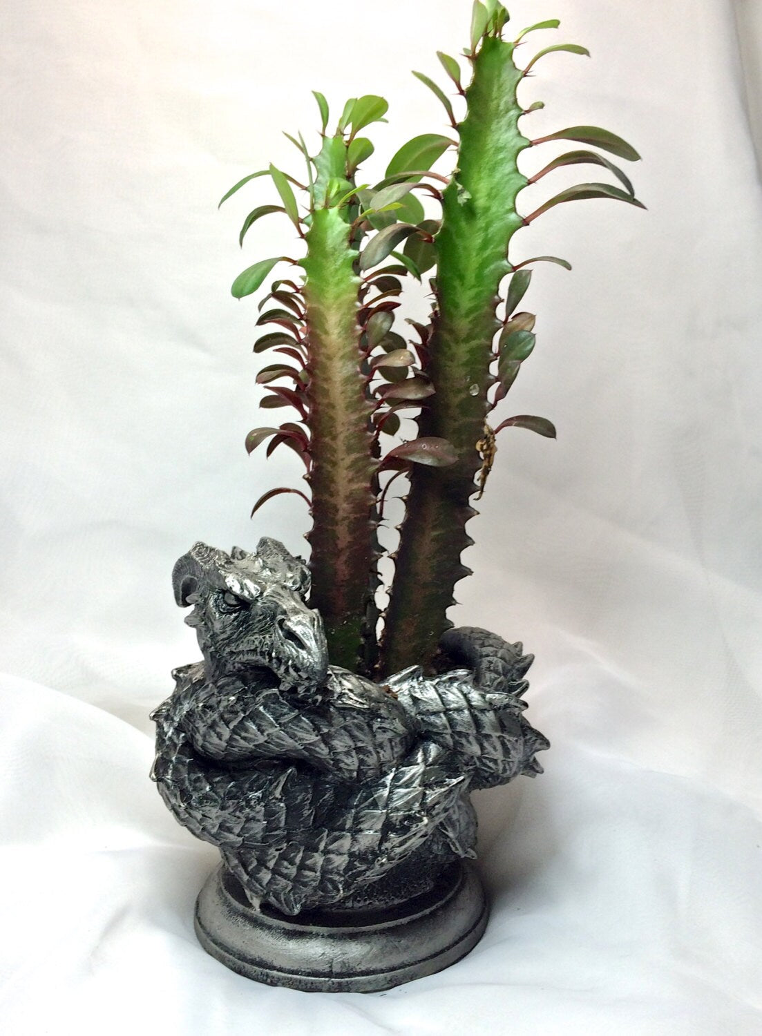 Coiled Dragon Planter, Pewter Finish |  Unique Mythic Creature Home Decor | Resin Sculpture Snake Vase, Fantasy Art and Gothic Home Decor