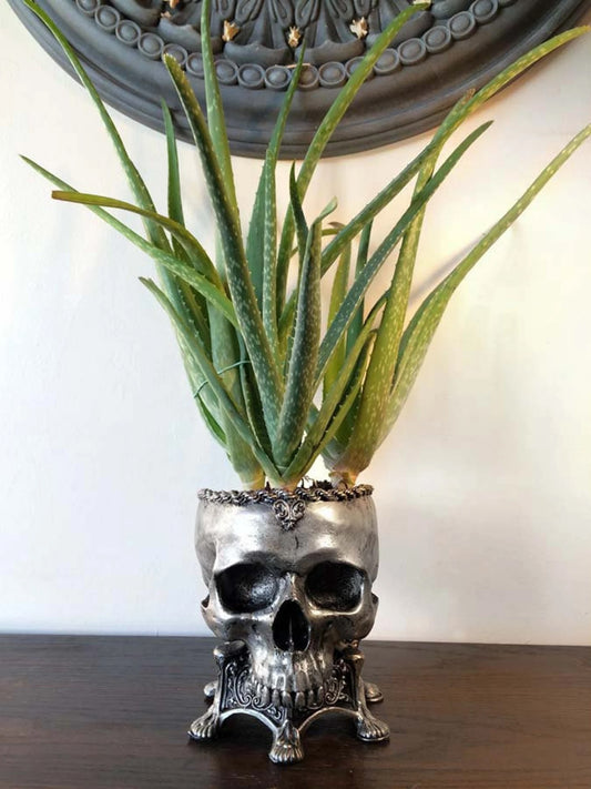 Human Skull Planter, Pewter Finish